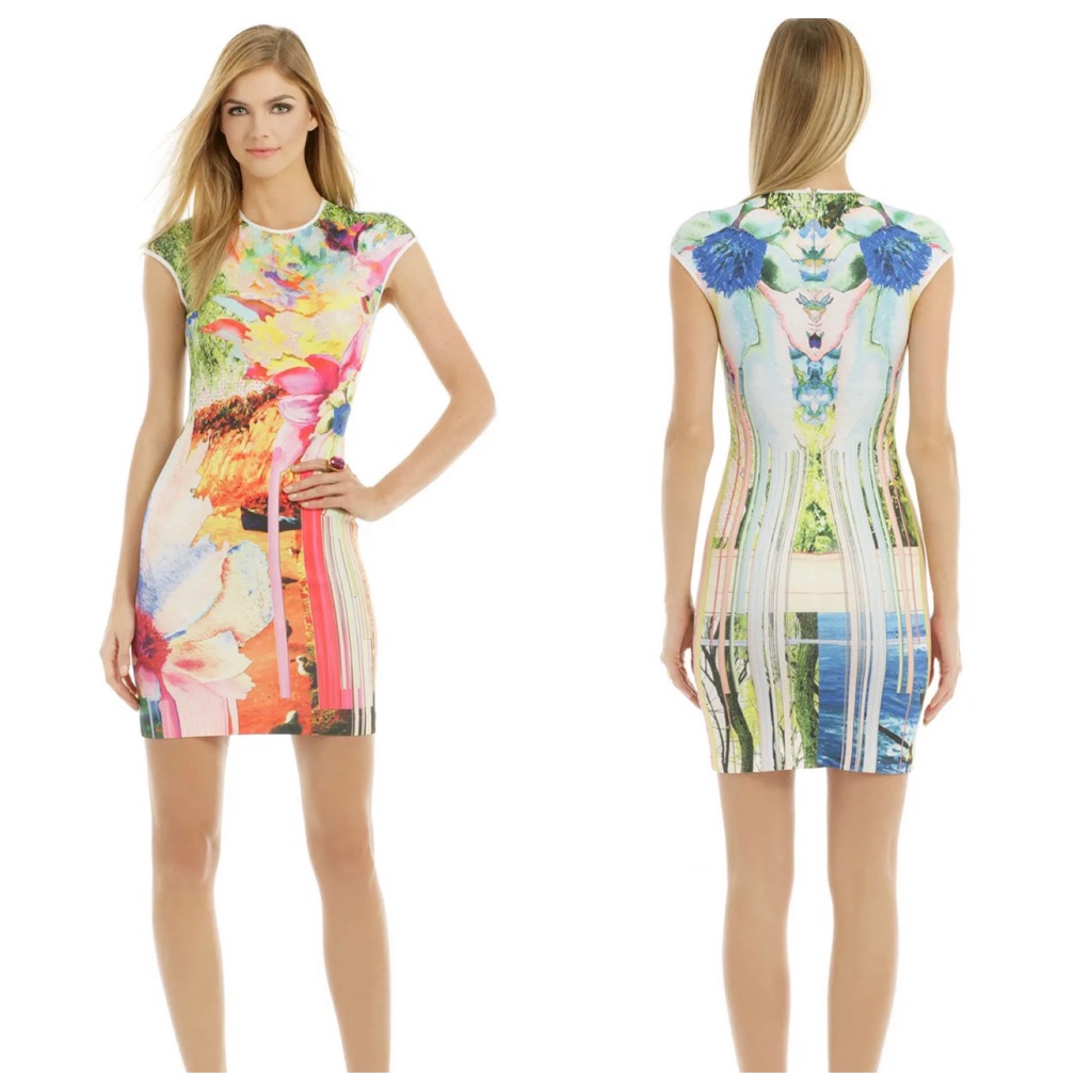Clover Canyon Griffith Park Bright Floral Scuba Dress | Xs